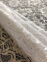 White Corded Lace with Scalloped Edge