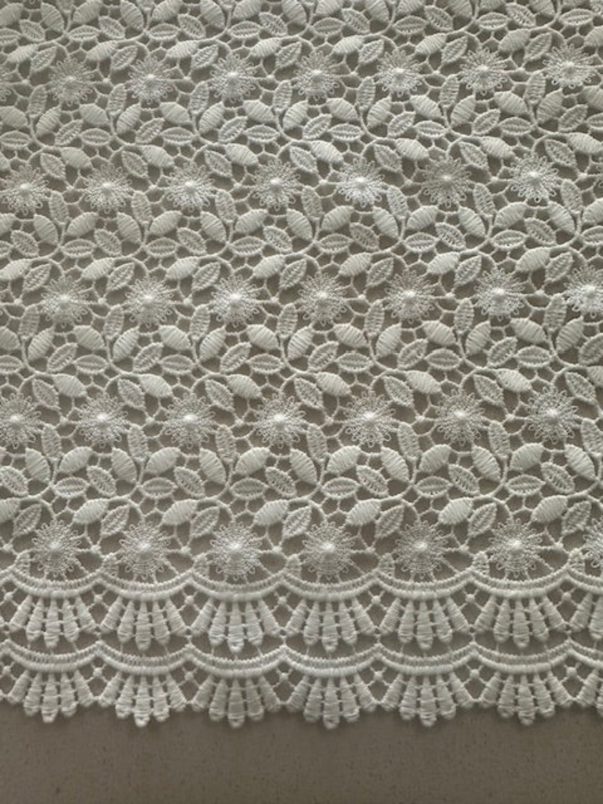Ivory Guipure Lace with Scalloped Edge