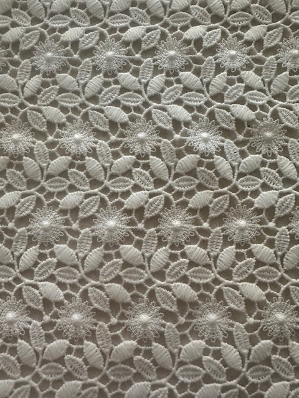 Ivory Guipure Lace with Scalloped Edge