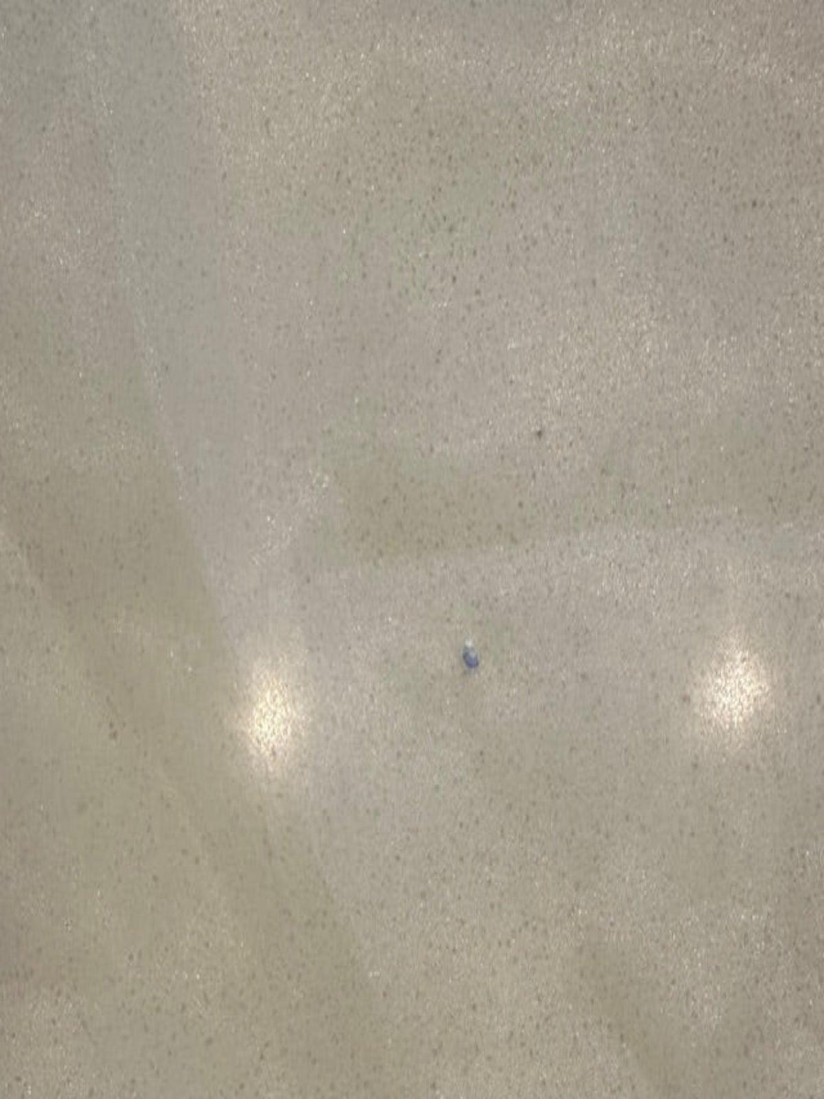 Swarovski Irridescent Crystals on White Matt Organza