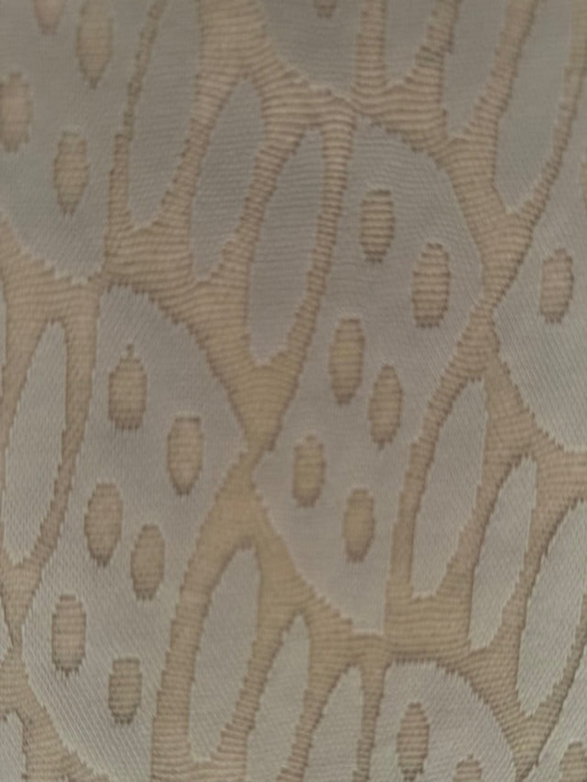 Coffee Domino Knitted Jacquard