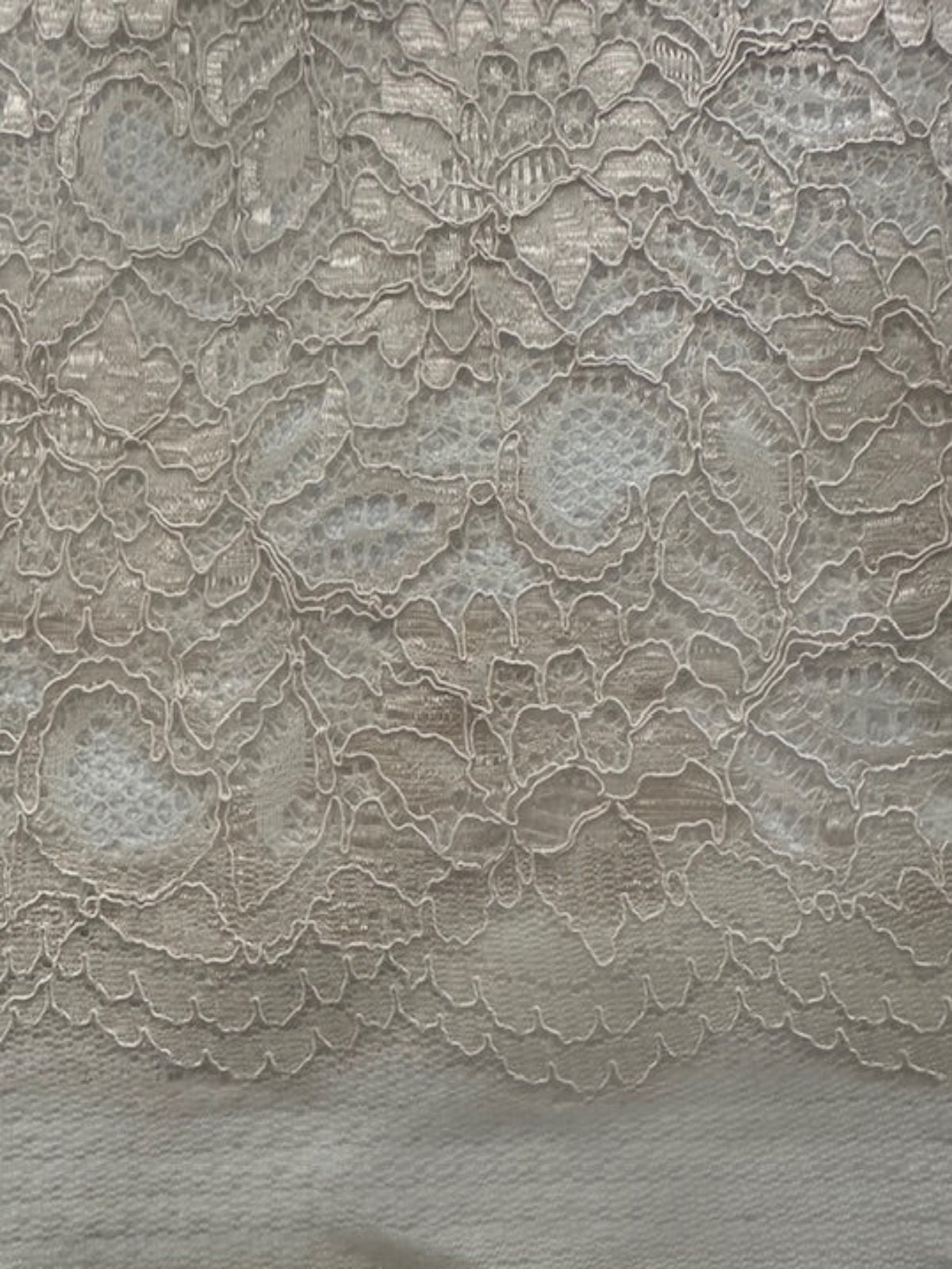 Champagne Corded Lace with Scalloped Edge