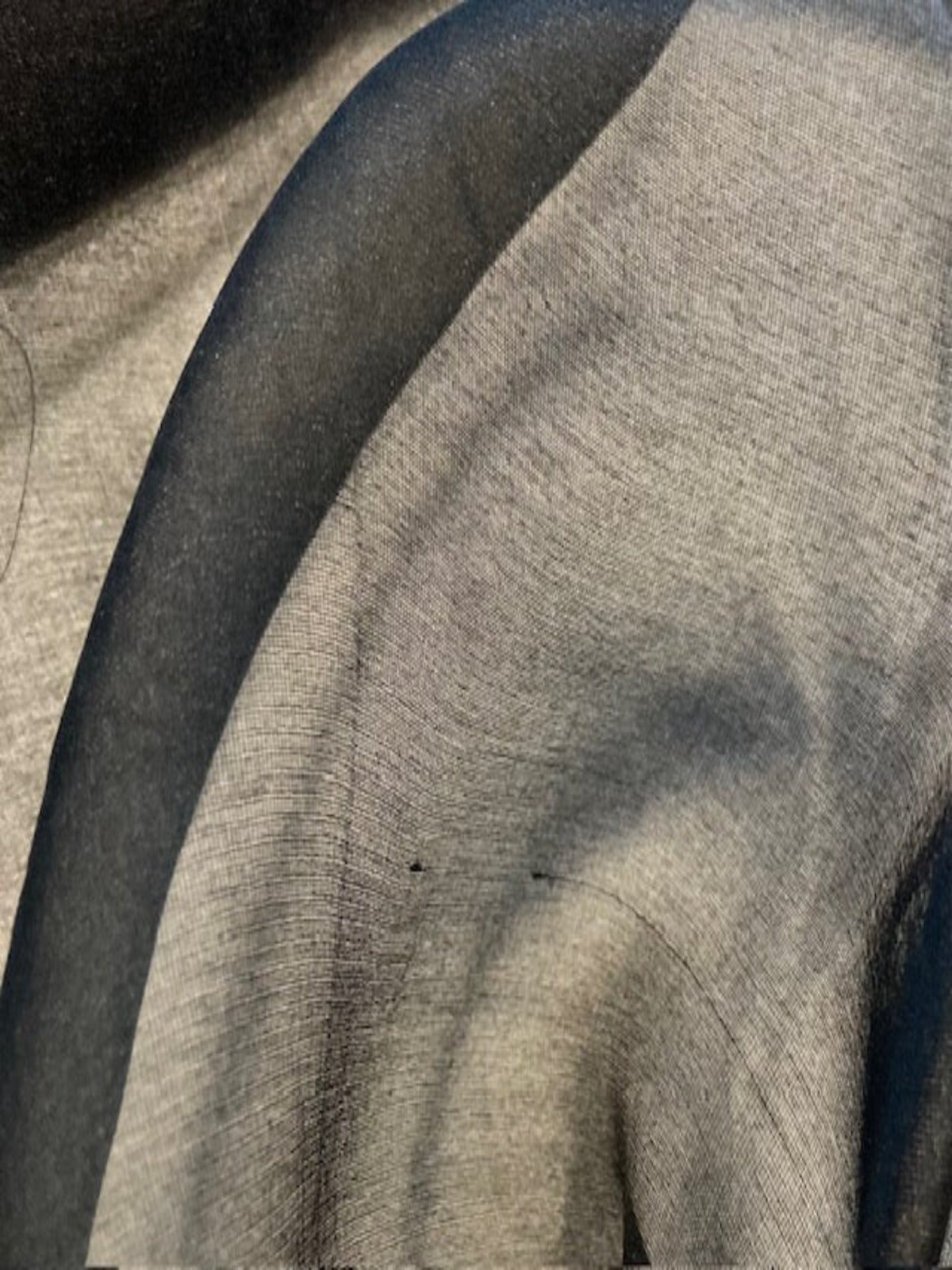 Black Matt Silk Organza