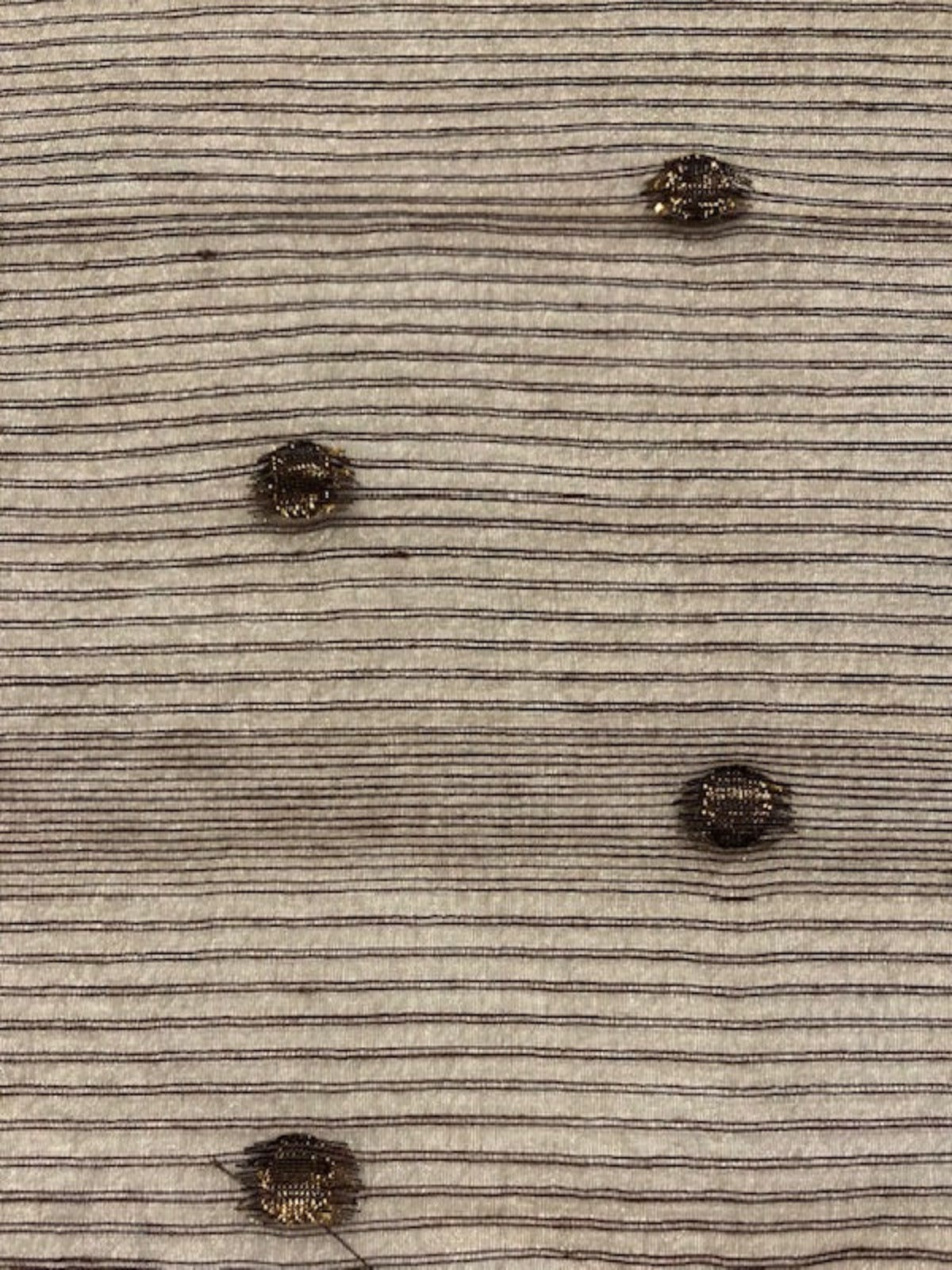 Chocolate Ribbed Sheer Voile with Spot Detail 300cm Wide