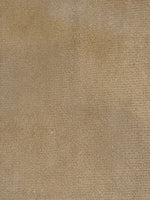 Golden Beige Single Sided Soft Handle Suede