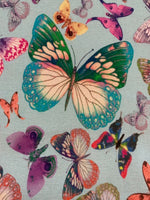 Multi Coloured Butterflies on Spearmint Cotton