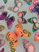 Multi Coloured Butterflies on Spearmint Cotton