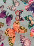 Multi Coloured Butterflies on Spearmint Cotton