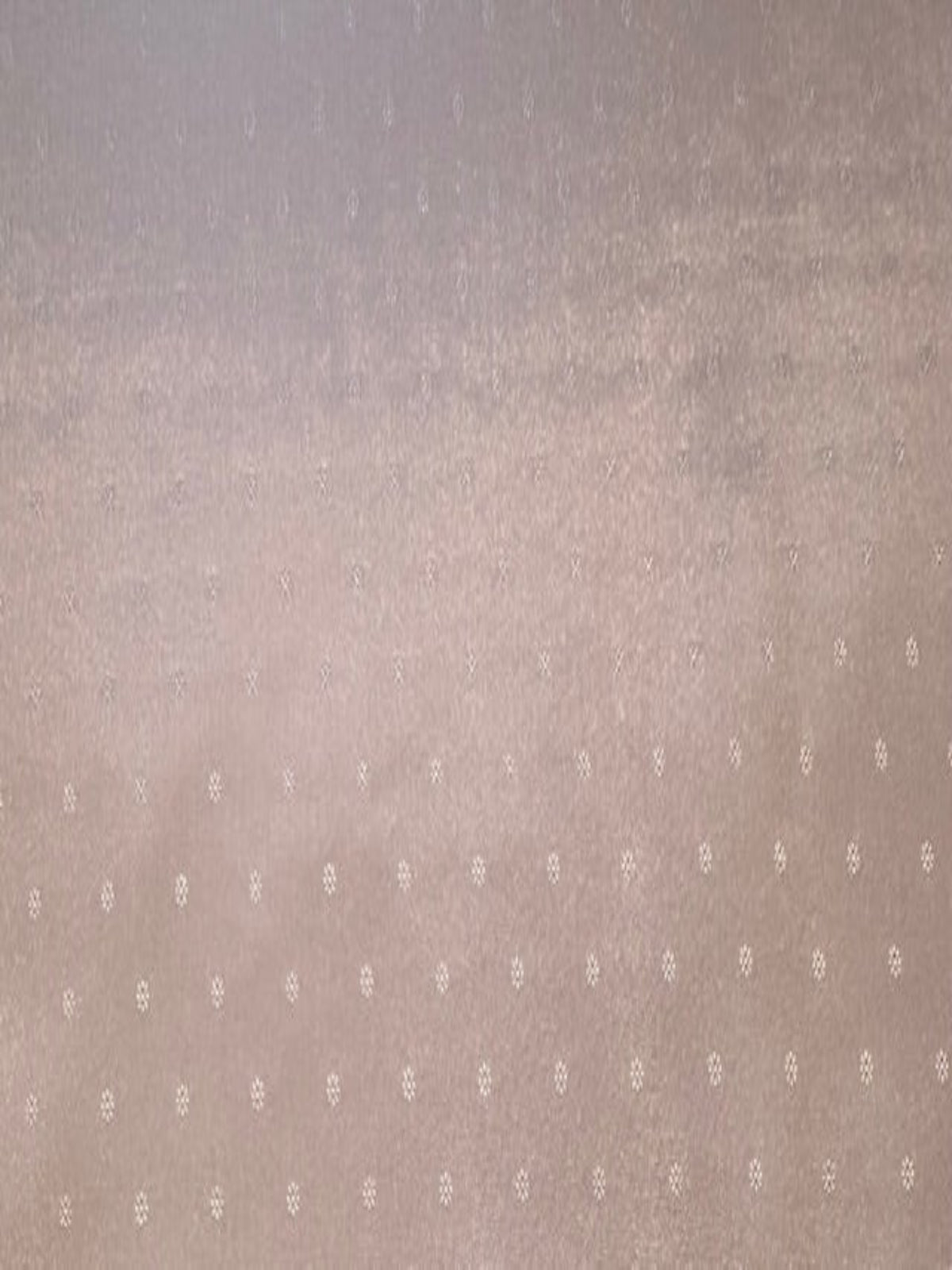 Cappuccino Taffeta Lining with Self Coloured Dot