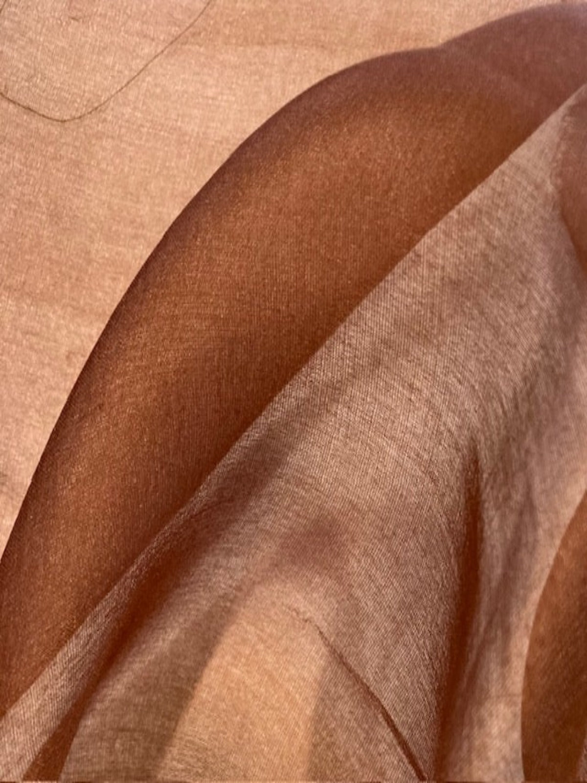 Caramel Silk Organza