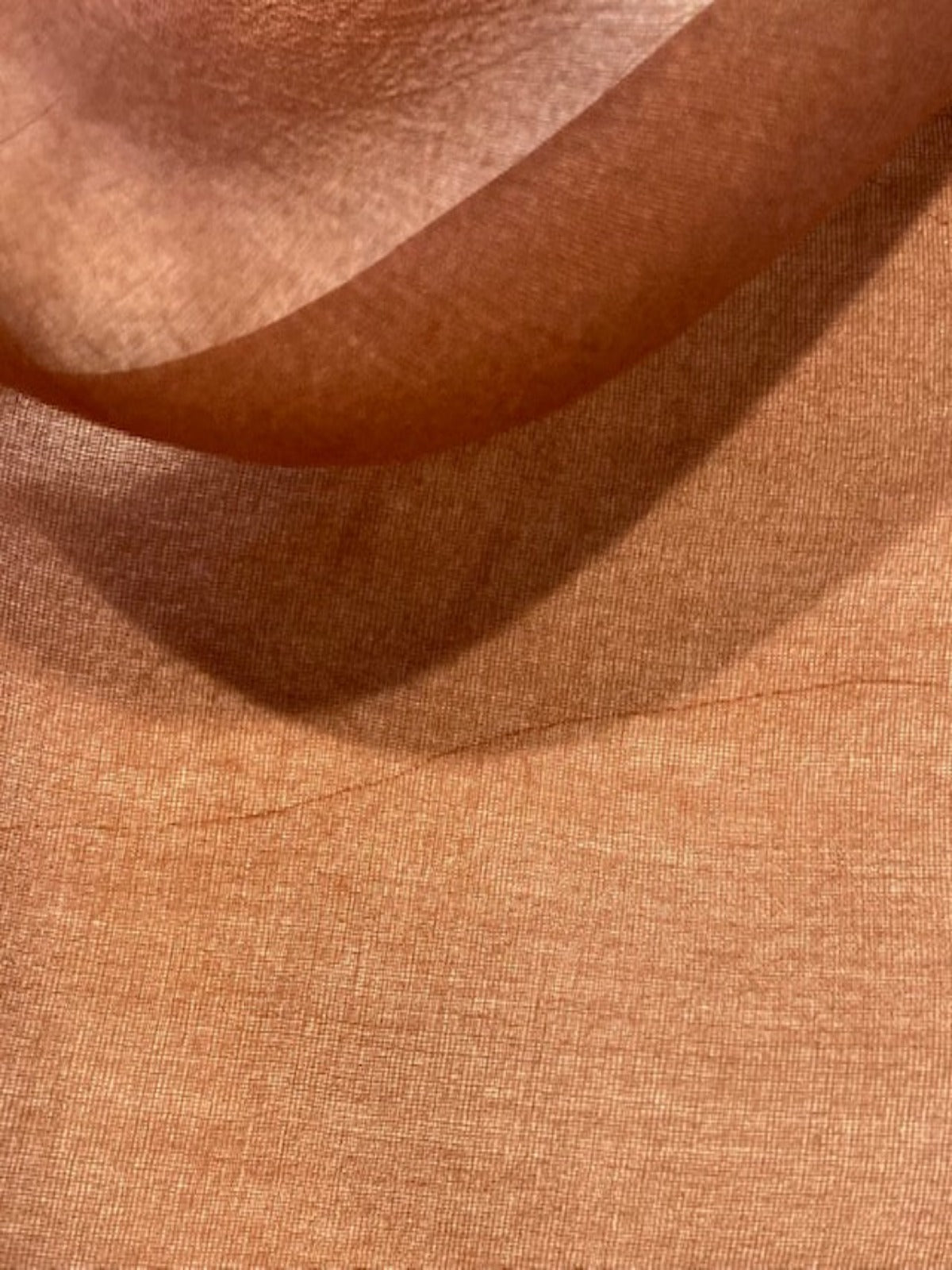 Caramel Silk Organza