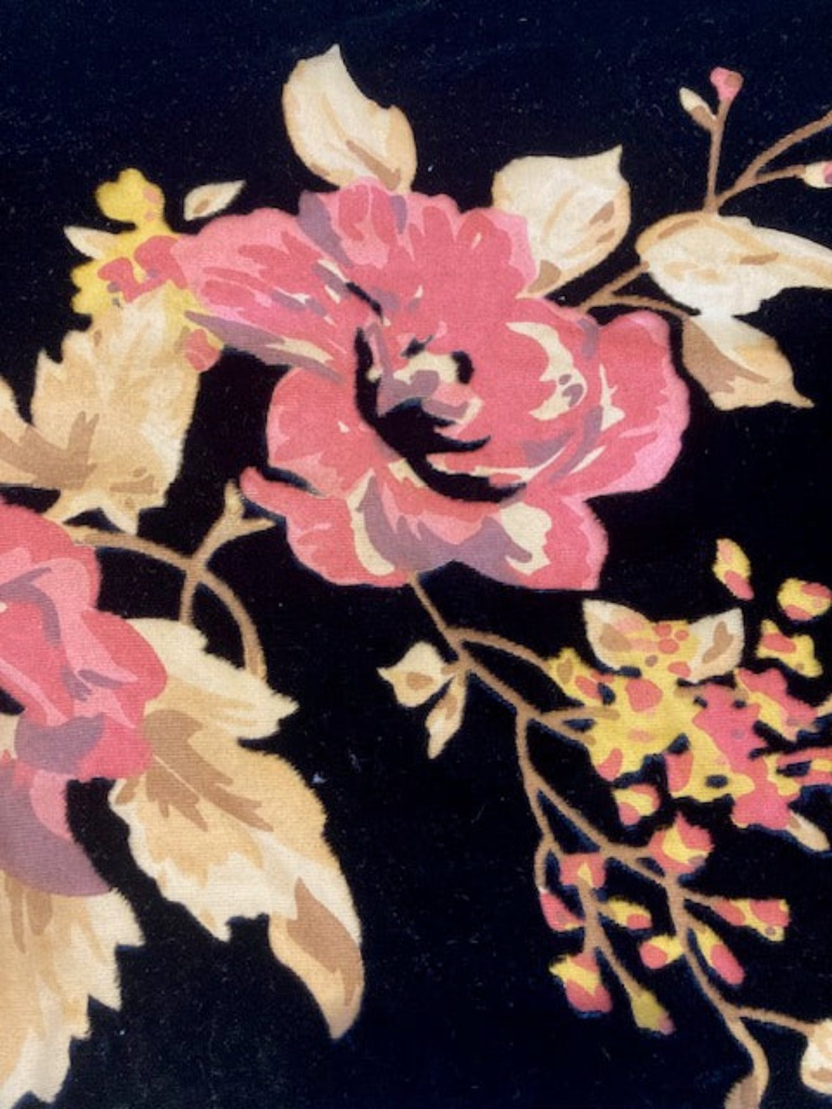 Dusty Pink Burnout on Black Velvet