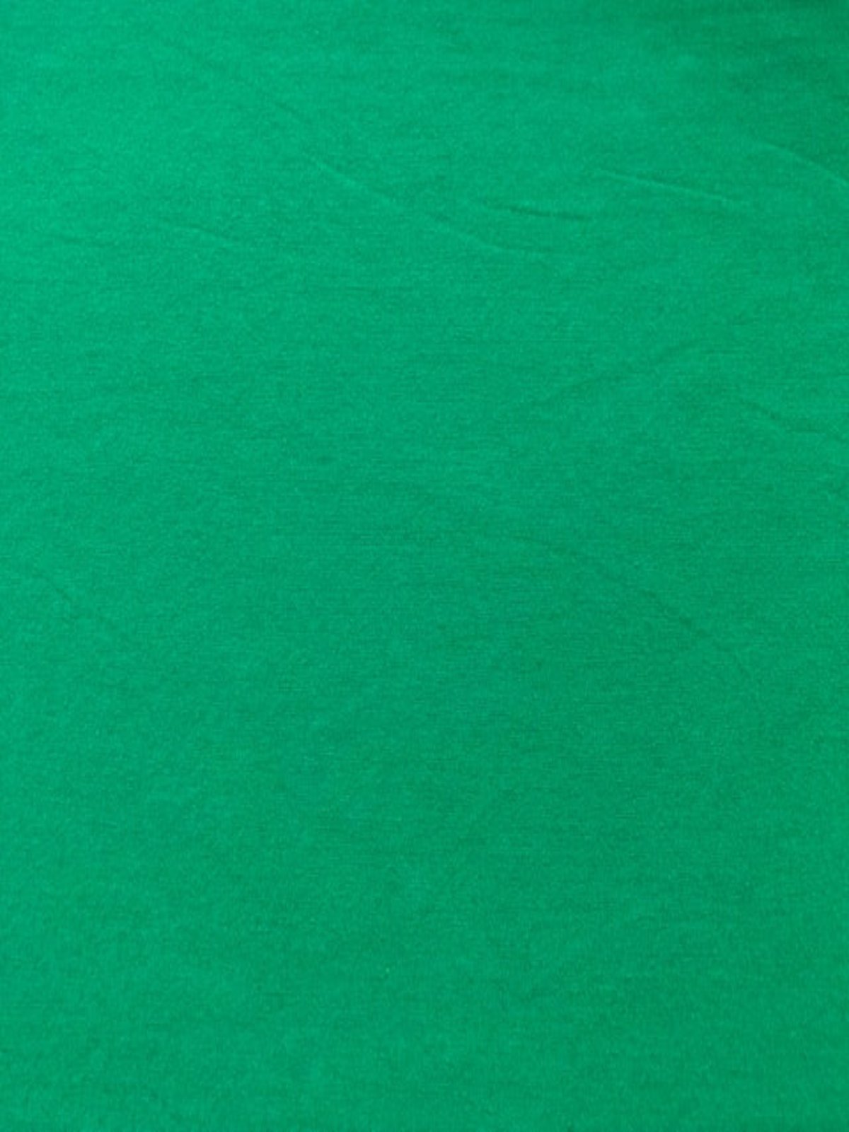 Emerald Cotton Jersey