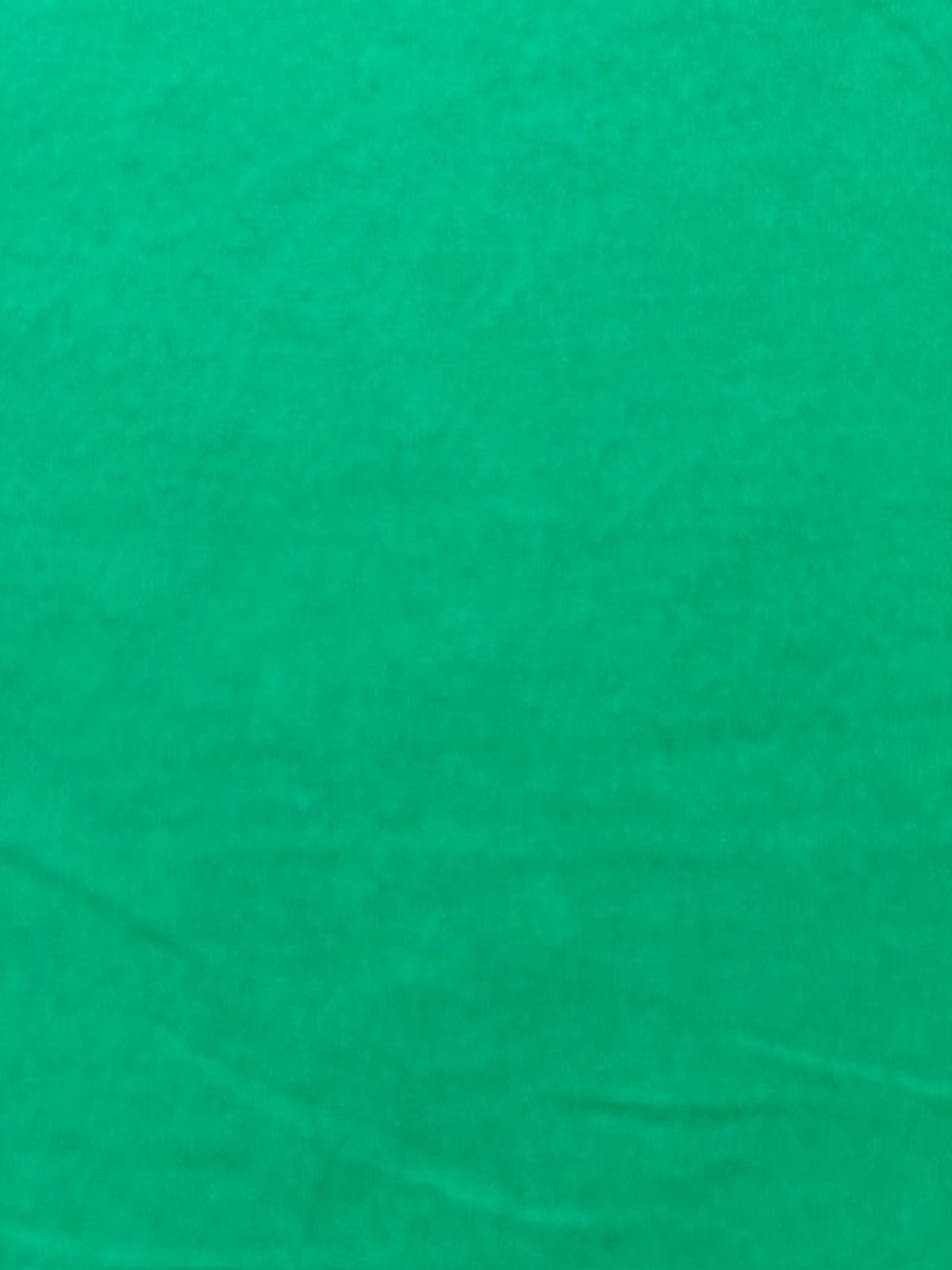 Emerald Cotton Jersey