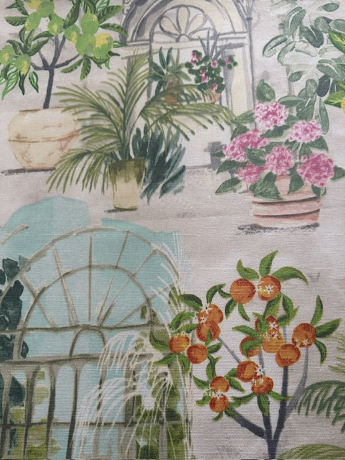 Citrus Plants in Glasshouse Cotton Furnishing - "Porter & Stone - Glasshouse"