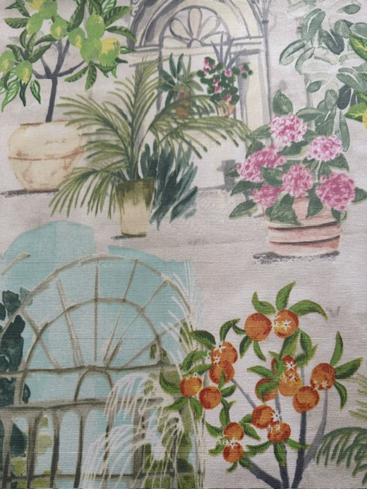 Citrus Plants in Glasshouse Cotton Furnishing - "Porter & Stone - Glasshouse"