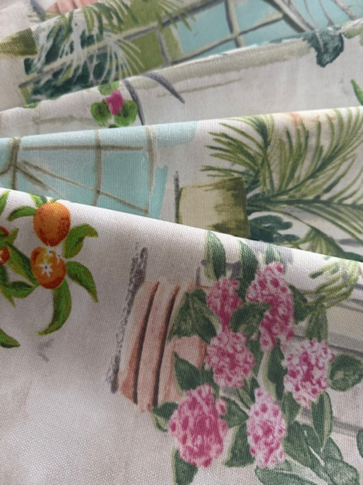 Citrus Plants in Glasshouse Cotton Furnishing - "Porter & Stone - Glasshouse"