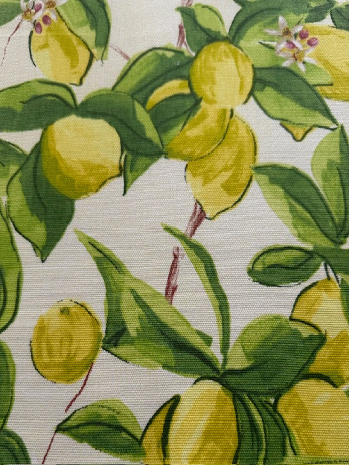 Lemon Allover Cotton Furnishing - "Porter &amp; Stone - Sorrento"