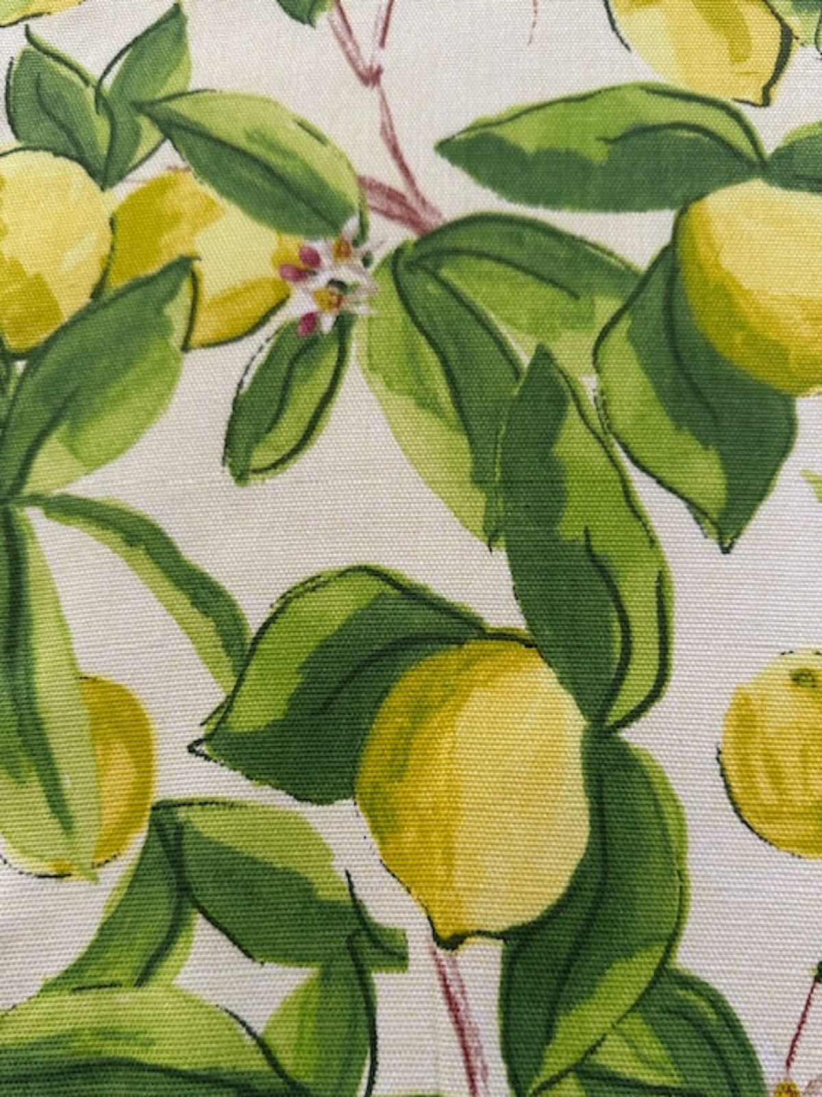 Lemon Allover Cotton Furnishing - "Porter &amp; Stone - Sorrento"