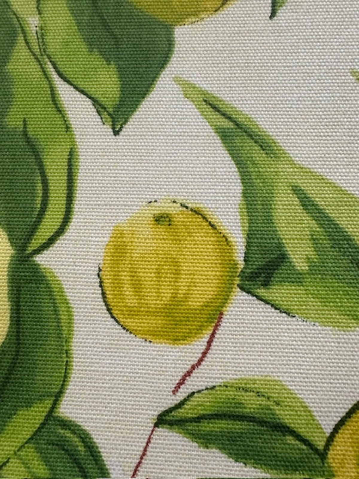 Lemon Allover Cotton Furnishing - "Porter &amp; Stone - Sorrento"