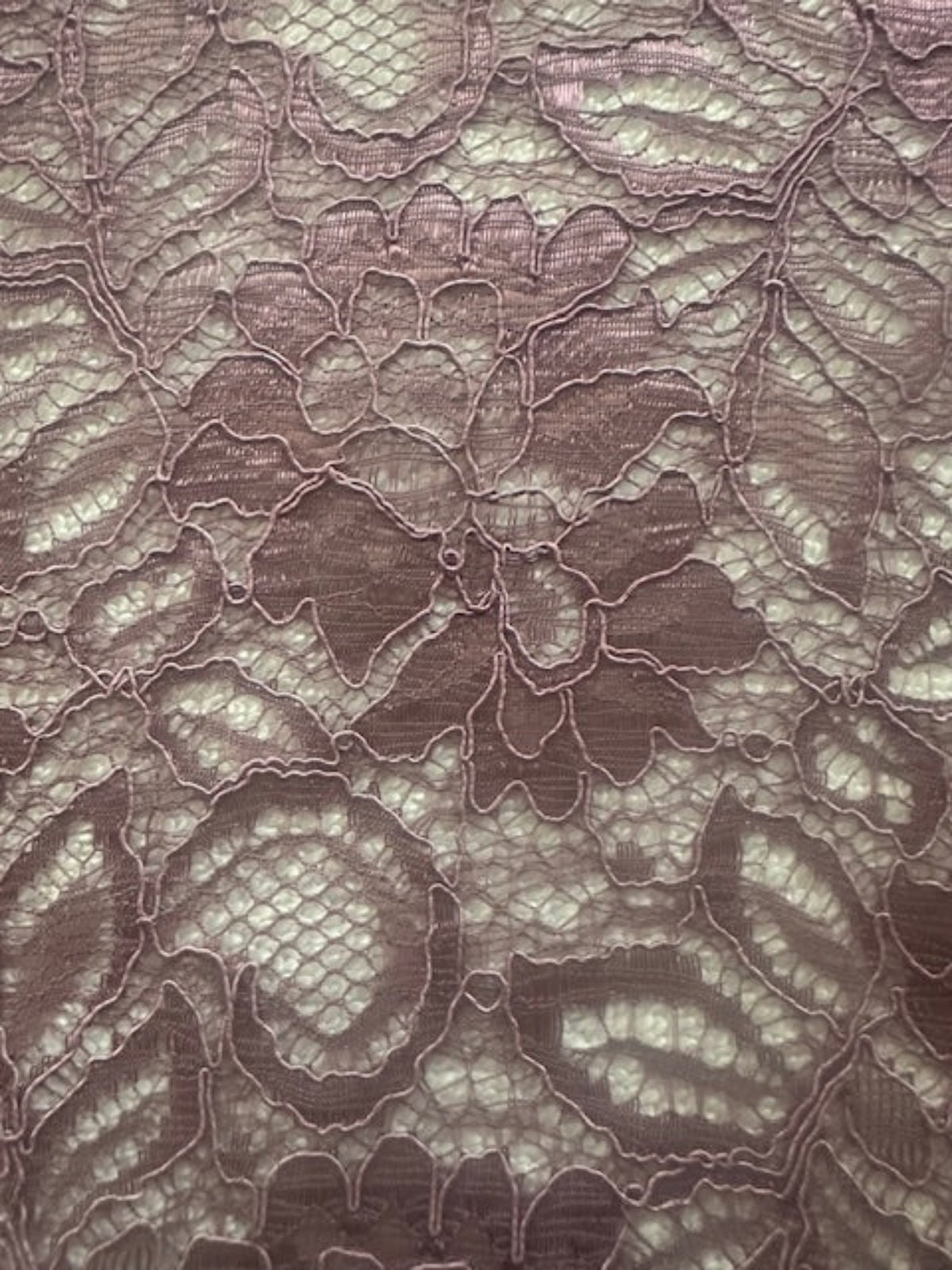 Deep Mauve Corded Lace with Scalloped Edge