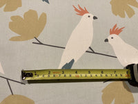Parrot on Pastel Aqua Cotton " Scion - Love Birds"
