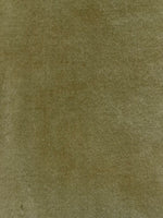 Pastel Pistachio Cotton Velvet