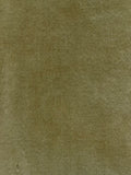 Pastel Pistachio Cotton Velvet