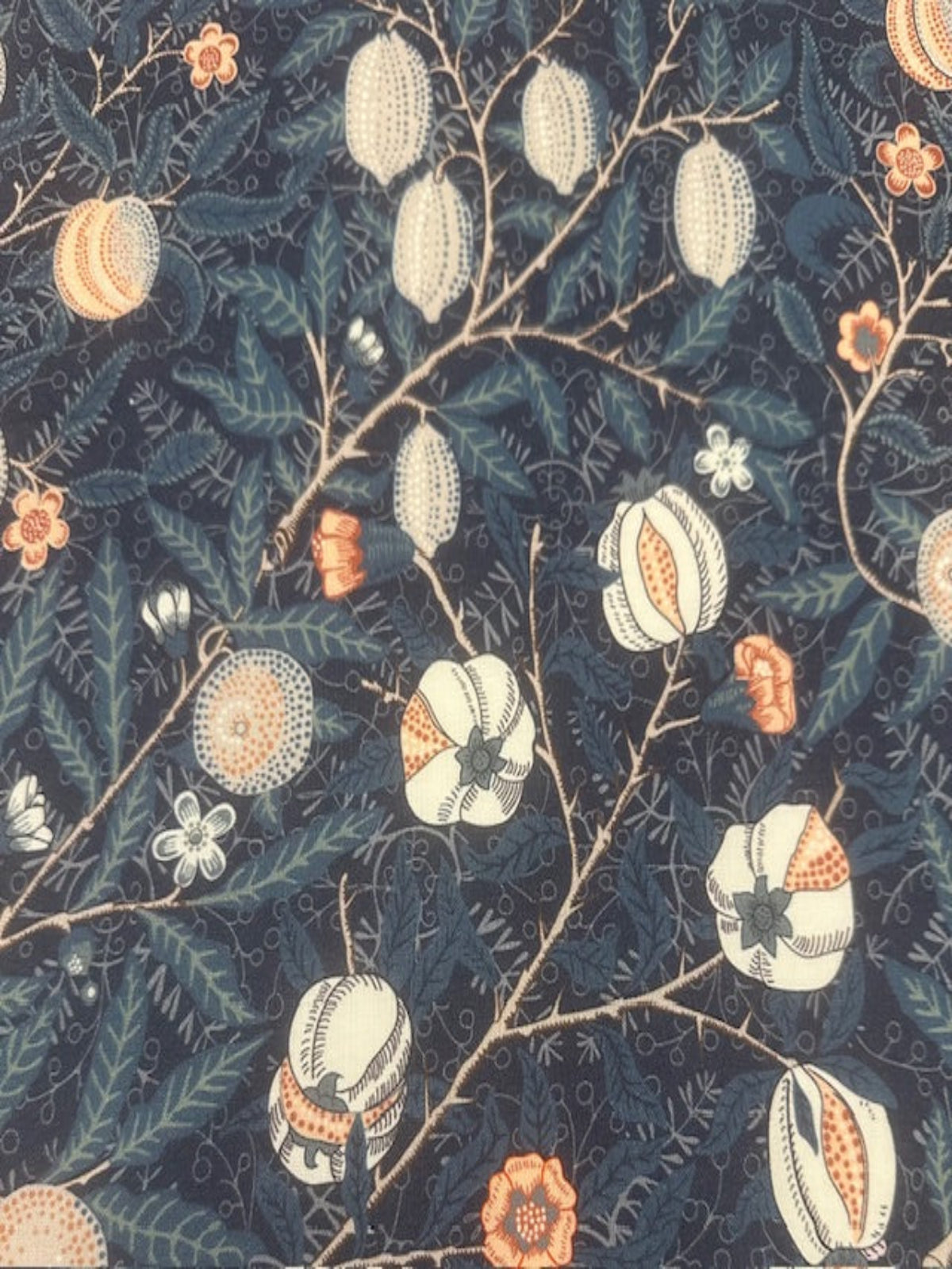 Sweet Symphony Pomegranite 100% Organic Cotton by "William Morris"