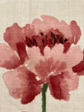 Red & White Single Roses on Cream "Sanderson - Hana"