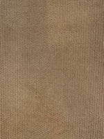 Camel Coloured Needlecord