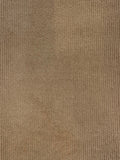 Camel Coloured Needlecord