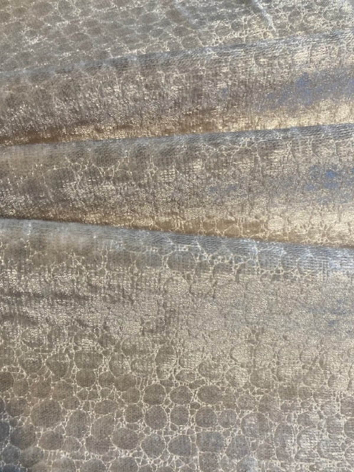 Cream Snake Skin Ivory Velvet