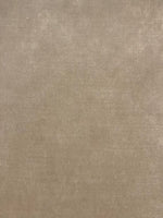 Light Taupe Soft Feel Velvet