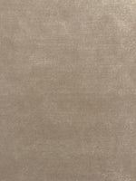 Light Taupe Soft Feel Velvet