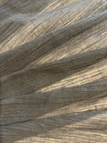 Black Crinkle Fine Cotton