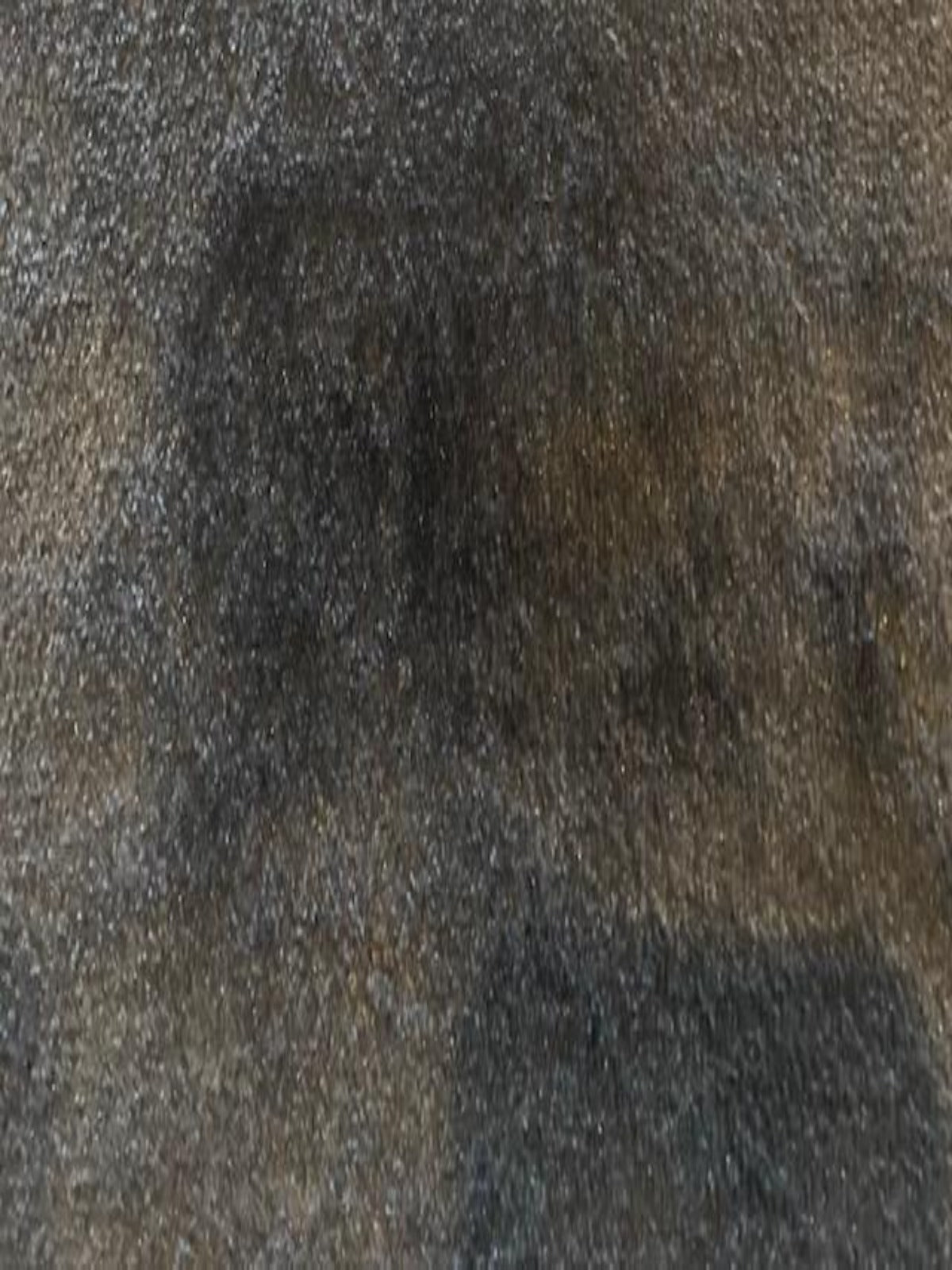 Black Double Sided Warm Fleece