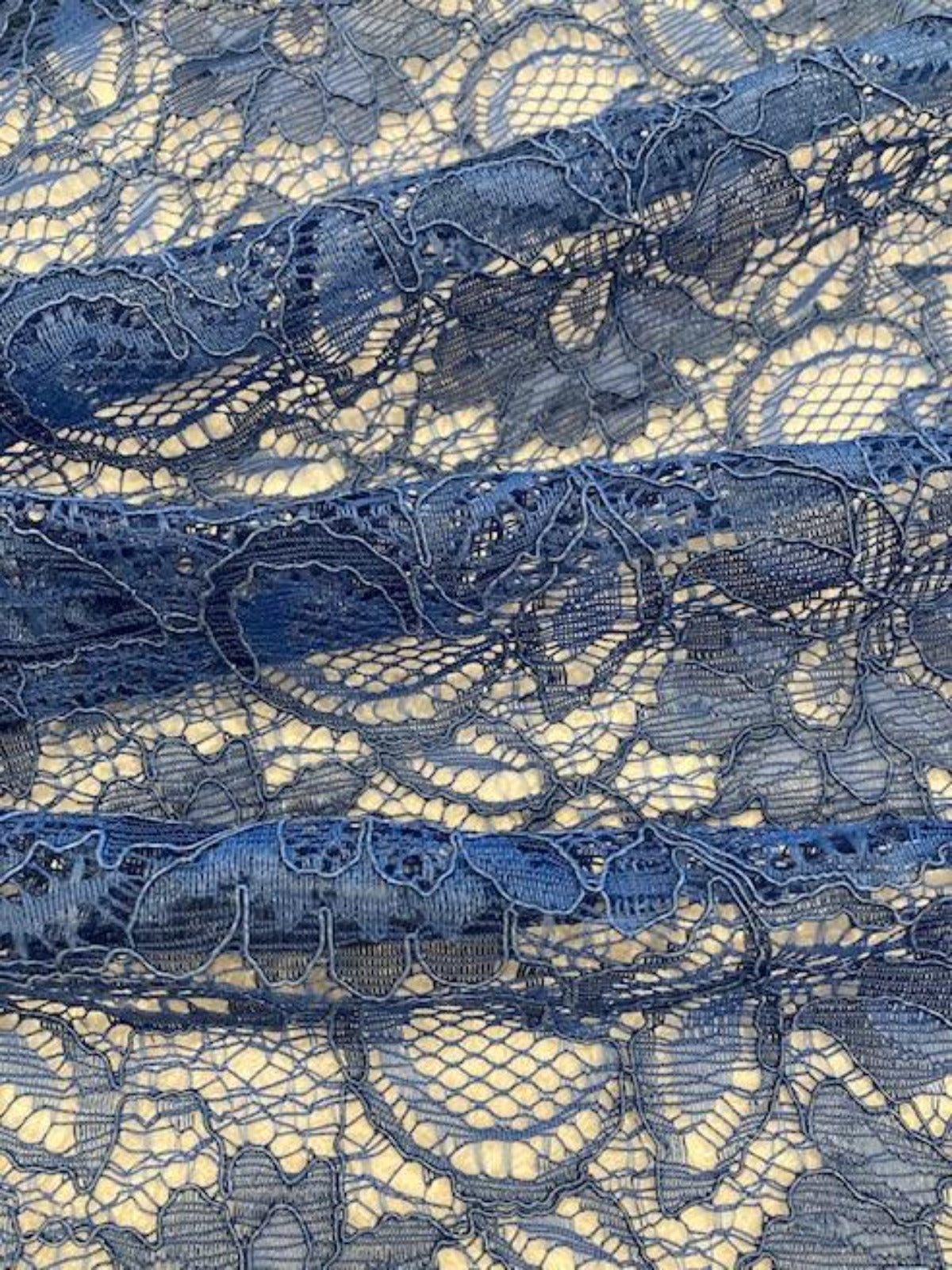 Blue Corded Lace with Scalloped Edge