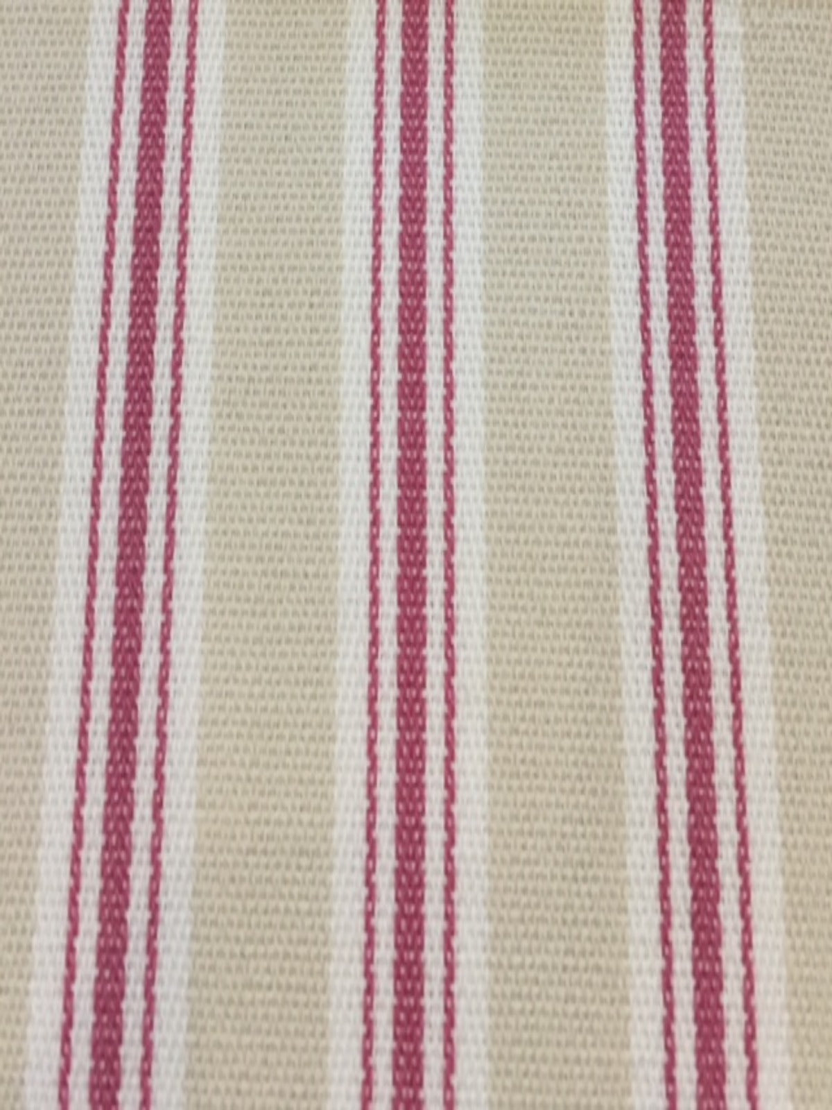 Rose/Cream Cotton Stripe