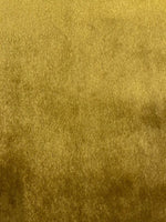 Gold Velvet