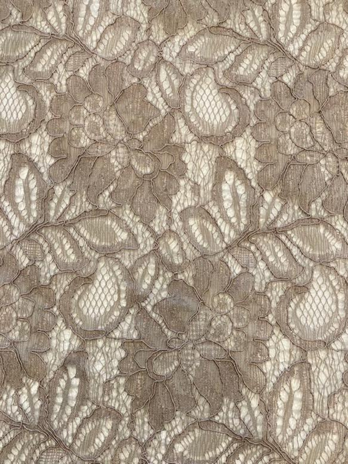 Mink Corded Lace with Scalloped Edge
