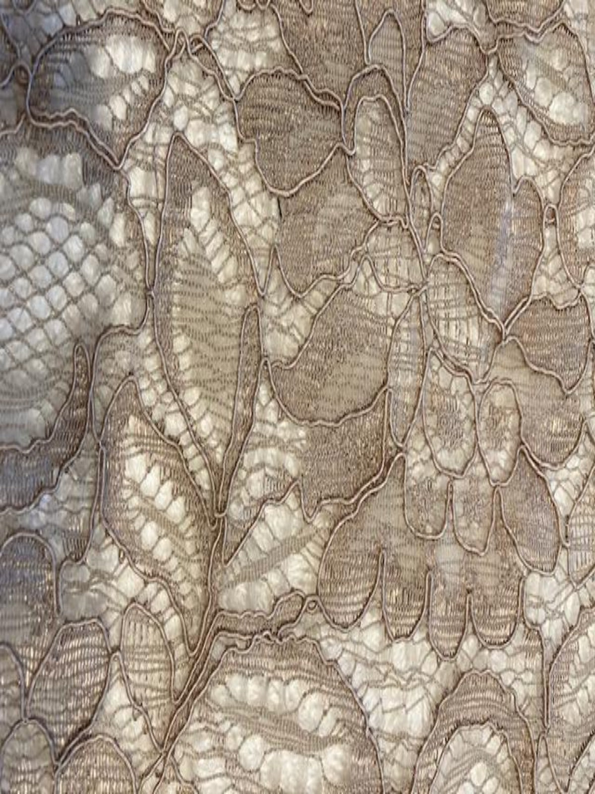 Mink Corded Lace with Scalloped Edge