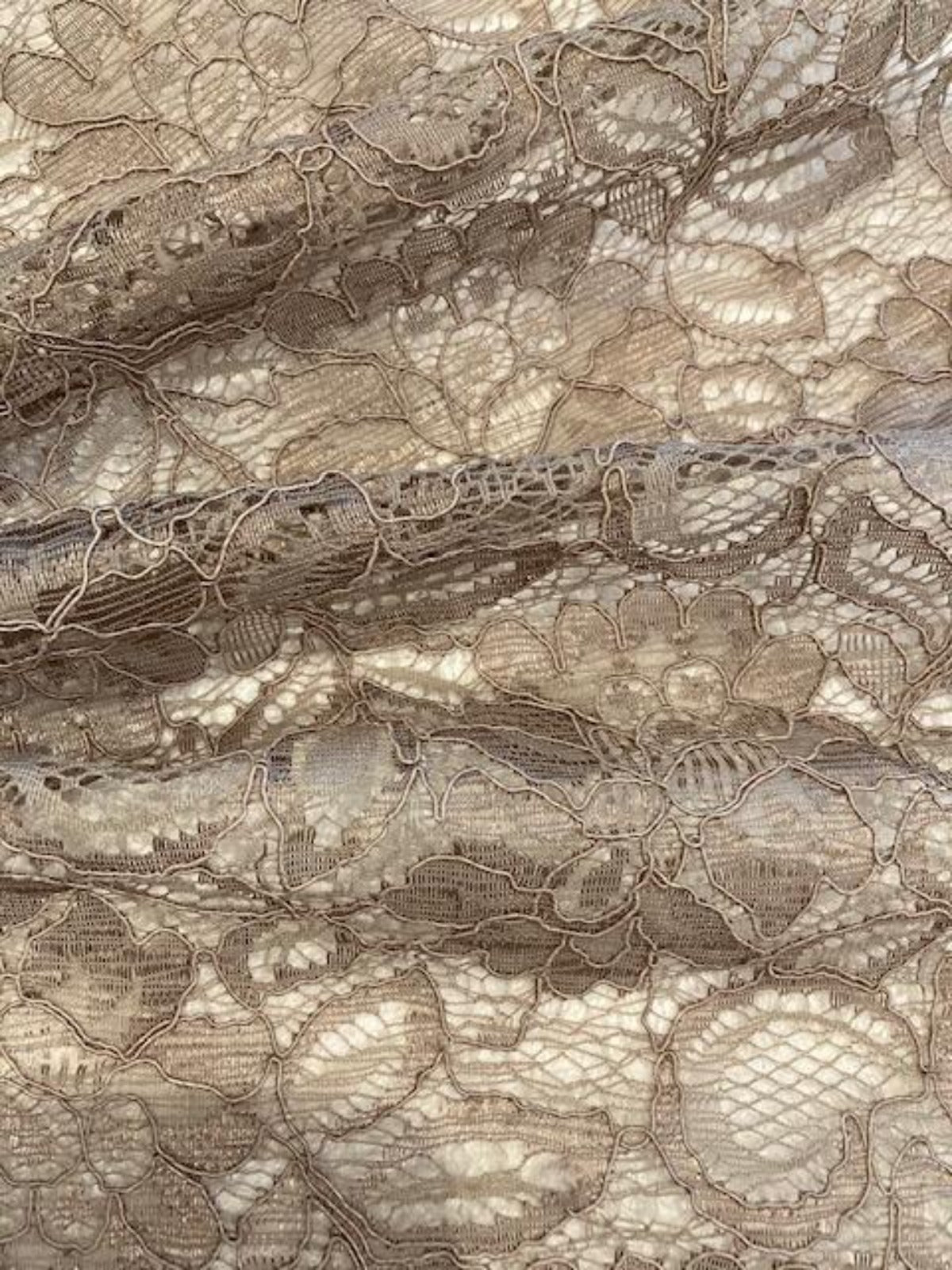 Mink Corded Lace with Scalloped Edge