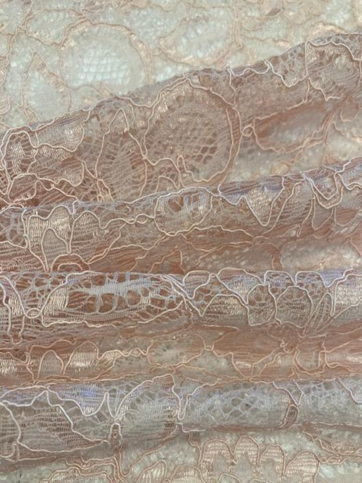 Pink Corded Lace with Scalloped Edge