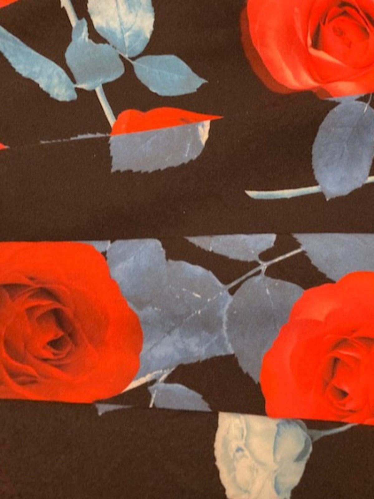 Red Roses / Blue leaves on Black Dress Weight Knit