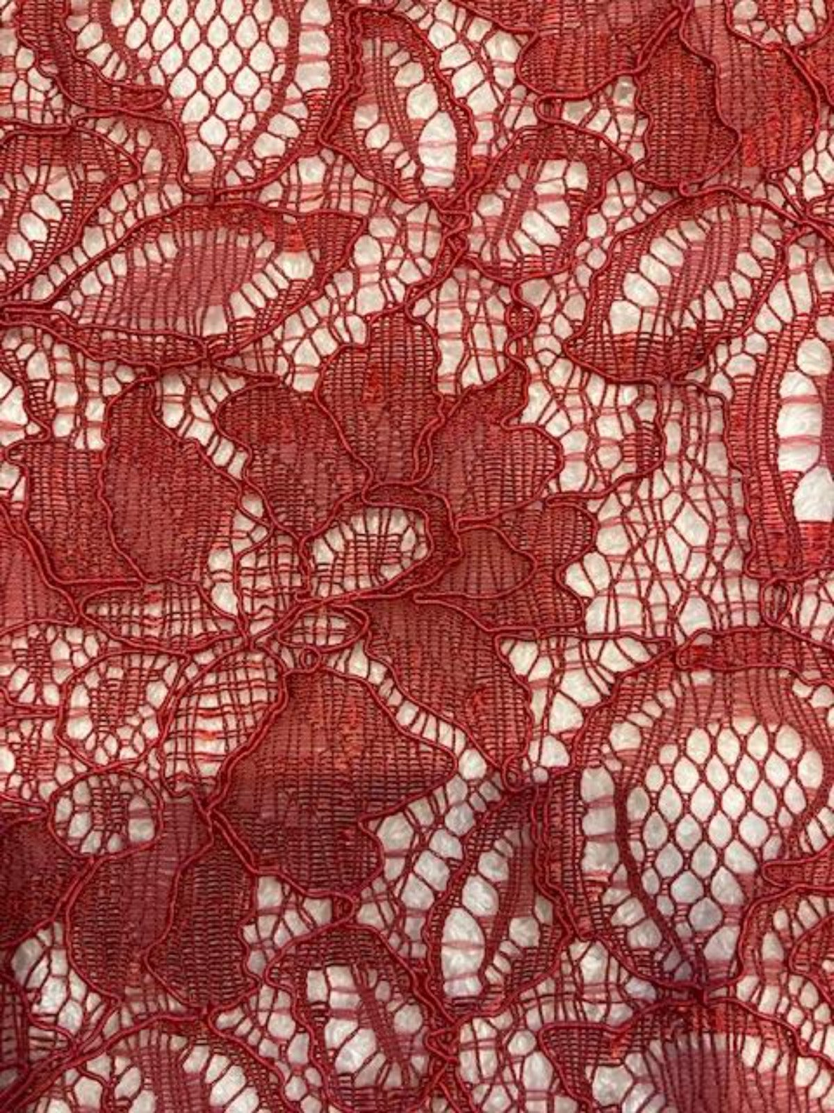 Scarlet Corded Lace with Scalloped Edge
