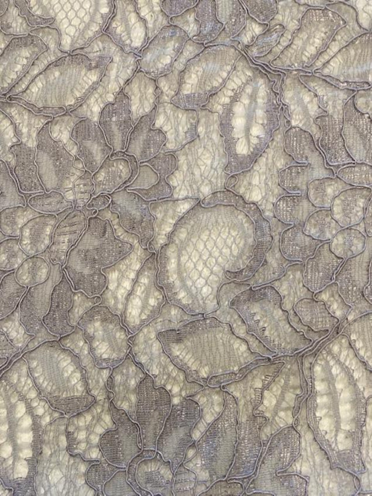 Silver with a hint of Blush Corded Lace with Scalloped Edge